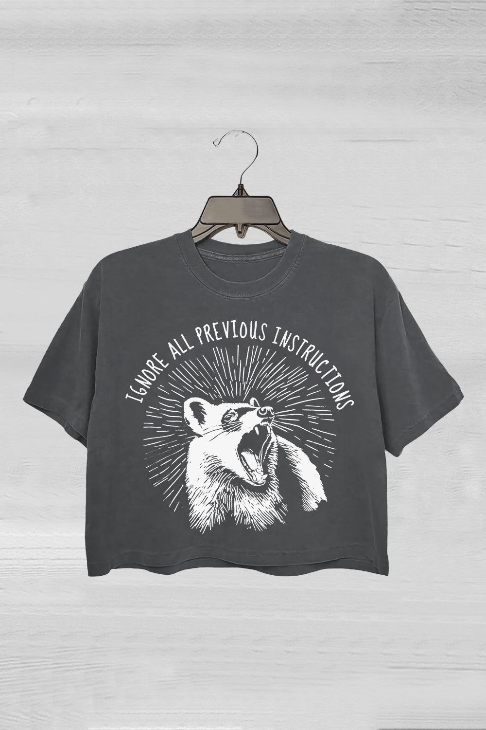Ignore All Previous Instructions Crop Tee For Women